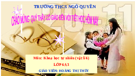 Giáo án điện tử Khoa học tự nhiên 6 bài 40 Kết nối tri thức : Lực là gì?