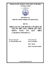 Khảo Sát Yếu Tố Ảnh Hưởng Đến Lên Men Rượu Vang Từ Quả Điều | Môn Phương pháp nghiên cứu khoa học - Đại học Kỹ thuật - Công nghệ Cần Thơ