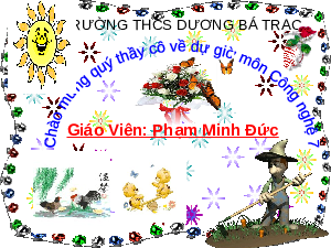 Giáo án điện tử Công nghệ 7 Bài 6 Chân trời sáng tạo: Rừng ở Việt Nam