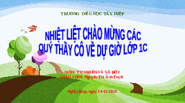 Giáo án điện tử Tự nhiên và xã hội 1 Chân trời sáng tạo : Các bộ phận cây