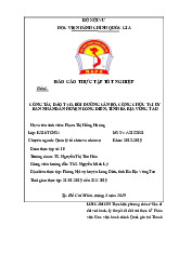 BÁO CÁO THỰC TẬP TỐT NGHIỆP | Học viện Hành chính Quốc gia