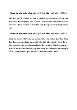 Viết đoạn văn tả một bộ phận của cây ở thời điểm nhất định | Văn mẫu Tiếng việt 10| Cánh diều