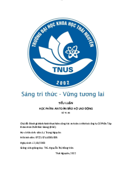 Tiểu luận học phần An toàn bảo hộ lao động | Trường Đại học Khoa học, Đại học Thái Nguyên