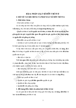 Bài giảng chương 6 : Pháp luật và sở hữu trí tuệ