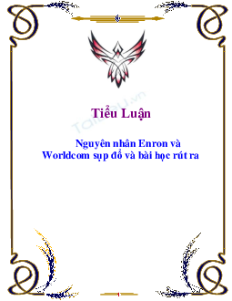 Tiểu luận "Nguyên nhân Enron và Worldcom sụp đổ và bài học rút ra"