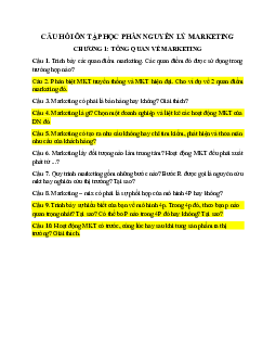Câu hỏi ôn tập học phần nguyên lý Marketing