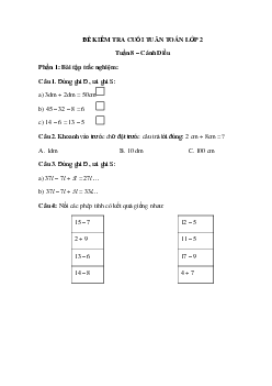 Đề kiểm tra cuối tuần Toán lớp 2 Cánh Diều - Tuần 8 (nâng cao)