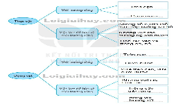 Giáo án điện tử Tự nhiên và Xã hội 2 Bài 20 Kết nối tri thức: Ôn tập chủ đề Thực vật và động vật