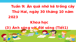 Giáo án điện tử Khoa học 4 Bài 9 Chân trời sáng tạo: Ánh sáng với đời sống