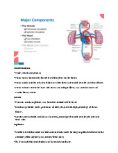 Vessel Structures and Cardiac Functions: A Comprehensive Overview | Môn Bio for BME - Trường Đại học Quốc tế, Đại học Quốc gia Thành phố Hồ Chí Minh