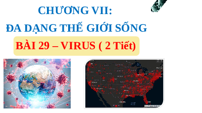 Giáo án điện tử Khoa học tự nhiên 6 bài 29 Kết nối tri thức : Virus