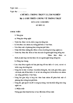 Giáo án Công nghệ 7 Bài 1: Giới thiệu chung về trồng trọt | Cánh diều
