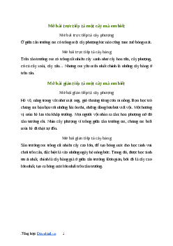 Văn mẫu Mở bài trực tiếp hoặc gián tiếp tả một cây mà em biết | kết nối tri thức