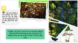 Giáo án điện tử Khoa học tự nhiên 6 bài 35 Chân trời sáng tạo : Lực và biểu diễn lực