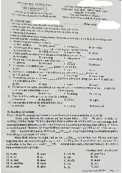 Đề thi tuyển sinh vào 10 môn Tiếng Anh của Sở GD&ĐT Bình Dương năm học 2024 - 2025