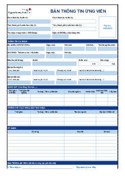 Mẫu thông tin ứng viên Bản Việt