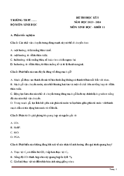 Đề thi học kì 1 môn Sinh học 11 năm 2023 - 2024 sách Chân trời sáng tạo
