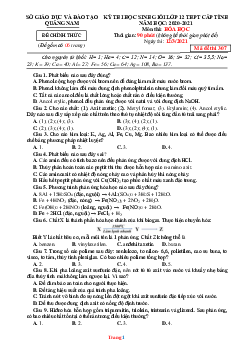 Đề thi HSG lớp 12 THPT cấp tỉnh năm 2020-2021 môn hóa học Sở GD Quảng Nam mã đề 307 (có đáp án)