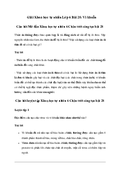 Giải Khoa học tự nhiên 6 Bài 25: Vi khuẩn - Chân Trời Sáng Tạo