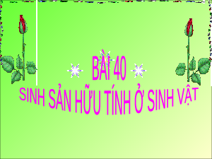 Bài giảng điện tử môn Khoa học tự nhiên 7  Sinh Học Bài 40: Sinh sản hữu tính ở sinh vật | Kết nối tri thức