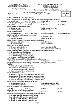 Đề thi học sinh giỏi Địa 10 cụm trường Sơn Động 2022-2023 (có đáp án)