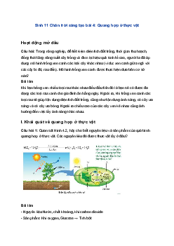 Sinh 11 Chân trời sáng tạo bài 4: Quang hợp ở thực vật