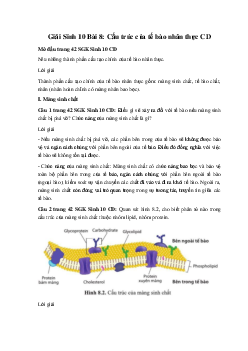 Giải Sinh 10 Bài 8: Cấu trúc của tế bào nhân thực | Cánh diều