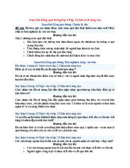 Soạn Ngữ văn 6 sách Chân trời sáng tạo bài Lẵng quả thông