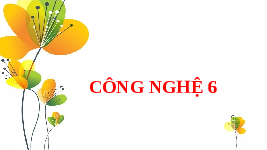 Giáo án điện tử Công nghệ 6 Dự án 1 Chân trời sáng tạo: Ngôi nhà của em