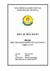 Đề tài Thực trạng huy động Vốn tại CJ CGV | Môn Báo cáo thực hành 2 - Đại học Công Đoàn