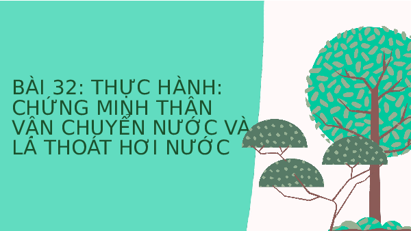 Giáo án điện tử Khoa học tự nhiên 7 bài 33 Kết nối tri thức : Cảm ứng ở sinh vật và tập tính ở động vật
