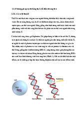Tóm tắt ôn tập bài Xạ trị học phần Lý sinh y học | Trường Đại học Phenikaa
