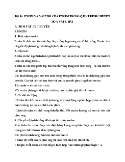 Lý thuyết Sinh học 10 bài 14: Enzim và vai trò của enzim trong quá trình chuyển hóa vật chất