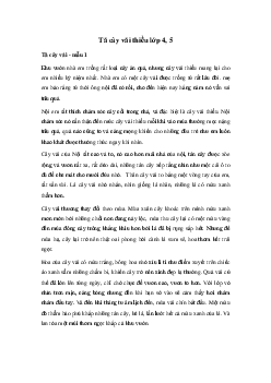 Tả cây vải | Tập làm văn lớp 4