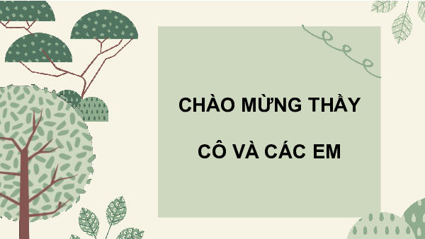 Tuần 16 | Bài giảng PowerPoint HĐTN 6 | Cánh diều