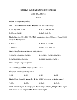 Đề thi khảo sát chất lượng đầu năm lớp 10 môn Hóa 2022 - Đề 6