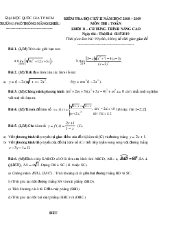 Đề thi học kì 2 Toán 11 năm 2018 – 2019 trường Phổ thông Năng khiếu – TP HCM