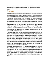 Gió là gì? Nguyên nhân sinh ra gió và các loại gió