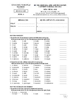 Đề thi chọn học sinh giỏi lớp 12 THPT Hải Phòng môn Tiếng Anh năm học 2013-2014 (có đáp án)