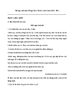 Phiếu Bài tập cuối tuần tiếng Việt lớp 2 học kì 1 | Cánh diều Tuần 2 cơ bản