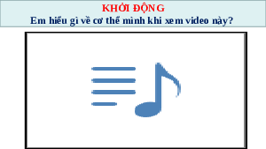 Giáo án điện tử Khoa học tự nhiên 8 Bài 33 Kết nối tri thức: Máu và hệ tuần hoàn của cơ thể người