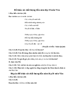Đề khảo sát chất lượng đầu năm môn Văn lớp 10 năm 2024 (Đề 3)
