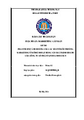 Phân tích những tác động của môi trường marketing vĩ mô đến hoạt động sản xuất kinh doanh của Tập đoàn Hoa Sen | Bài thảo luận marketing căn bản