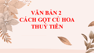 Bài giảng điện tử môn Ngữ văn 7 Bài 8.2: Cách gọt củ hoa thuỷ tiên | Chân trời sáng tạo