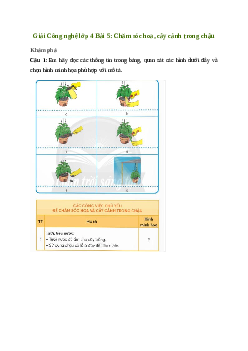 Giải Công nghệ lớp 4 Bài 5: Chăm sóc hoa, cây cảnh trong chậu | Chân trời sáng tạo
