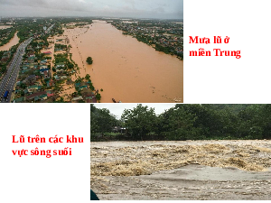 Giáo án điện tử Công nghệ 7 Bài 7 Kết nối tri thức: Giới thiệu về rừng