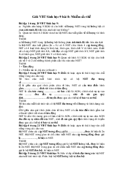 Giải VBT Sinh học 9 bài 8: Nhiễm sắc thể