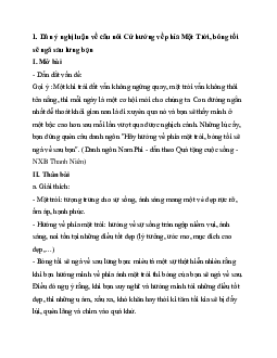 Nghị luận về câu nói: “Cứ hướng về phía Mặt Trời, bóng tối sẽ ngả sau lưng bạn” | Văn mẫu 11 Cánh diều