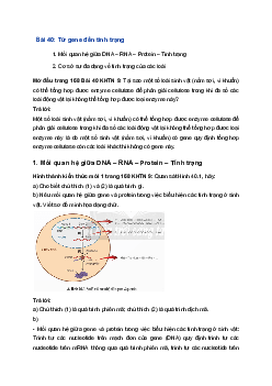 Giải Khoa học tự nhiên 9 Chân trời sáng tạo Bài 40: Từ gene đến tính trạng