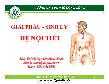 Bài giảng Giải phẫu - Sinh lý Hệ nội tiết môn Sinh lý | Trường Đại học Y Tế Công Cộng